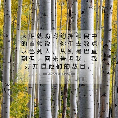 Picture 07 - 历 代 志 上 21:2 CUVS - 大 卫 就 吩 咐 约 押 和 民 中 的 首 - Bible Verse Picture