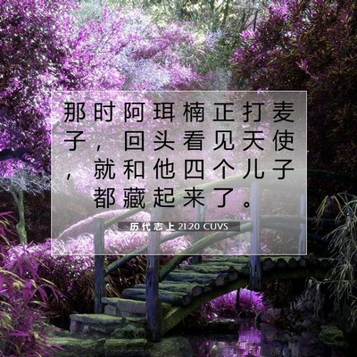 Picture 07 - 历 代 志 上 21:20 CUVS - 那 时 阿 珥 楠 正 打 麦 子 ， 回 头 - Bible Verse Picture