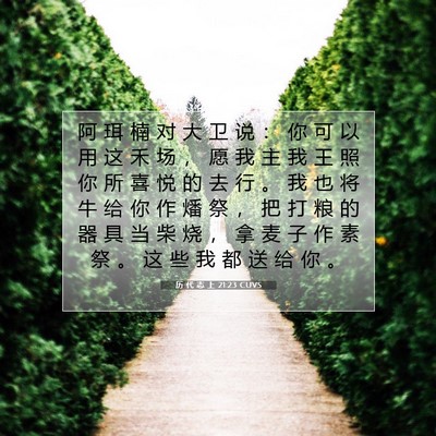 Picture 07 - 历 代 志 上 21:23 CUVS - 阿 珥 楠 对 大 卫 说 ： 你 可 以 用 - Bible Verse Picture