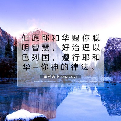 Picture 07 - 历 代 志 上 22:12 CUVS - 但 愿 耶 和 华 赐 你 聪 明 智 慧 ， - Bible Verse Picture