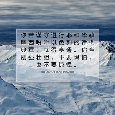 Picture 07 - 历 代 志 上 22:13 CUVS - 你 若 谨 守 遵 行 耶 和 华 藉 摩 西 - Bible Verse Picture