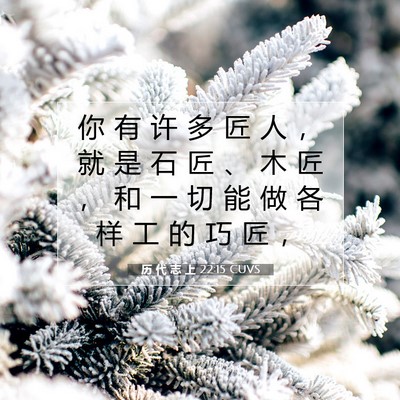 Picture 07 - 历 代 志 上 22:15 CUVS - 你 有 许 多 匠 人 ， 就 是 石 匠 、 - Bible Verse Picture