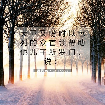 Picture 07 - 历 代 志 上 22:17 CUVS - 大 卫 又 吩 咐 以 色 列 的 众 首 领 - Bible Verse Picture