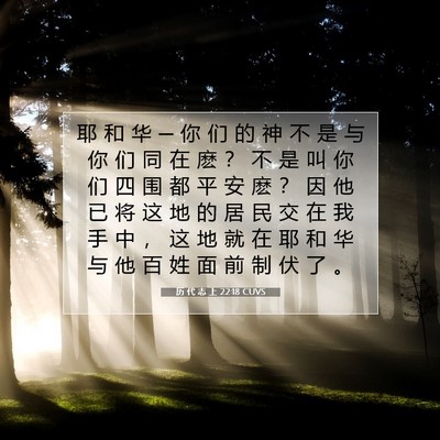 Picture 07 - 历 代 志 上 22:18 CUVS - 耶 和 华 ─ 你 们 的 神 不 是 与 你 - Bible Verse Picture