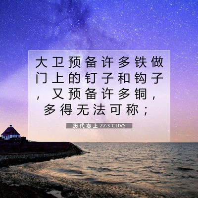 Picture 07 - 历 代 志 上 22:3 CUVS - 大 卫 预 备 许 多 铁 做 门 上 的 钉 - Bible Verse Picture
