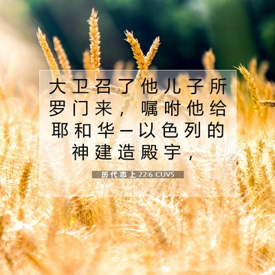 Picture 07 - 历 代 志 上 22:6 CUVS - 大 卫 召 了 他 儿 子 所 罗 门 来 ， - Bible Verse Picture