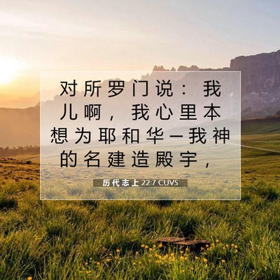 Picture 07 - 历 代 志 上 22:7 CUVS - 对 所 罗 门 说 ： 我 儿 啊 ， 我 心 - Bible Verse Picture