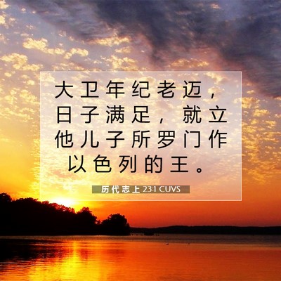 Picture 07 - 历 代 志 上 23:1 CUVS - 大 卫 年 纪 老 迈 ， 日 子 满 足 ， - Bible Verse Picture