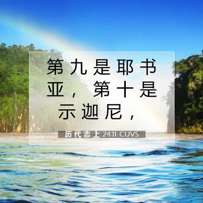 Picture 07 - 历 代 志 上 24:11 CUVS - 第 九 是 耶 书 亚 ， 第 十 是 示 迦 - Bible Verse Picture