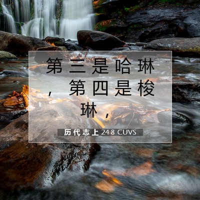 Picture 07 - 历 代 志 上 24:8 CUVS - 第 三 是 哈 琳 ， 第 四 是 梭 琳 - Bible Verse Picture