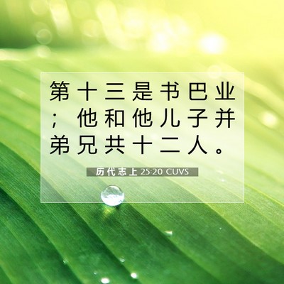 Picture 07 - 历 代 志 上 25:20 CUVS - 第 十 三 是 书 巴 业 ； 他 和 他 儿 - Bible Verse Picture