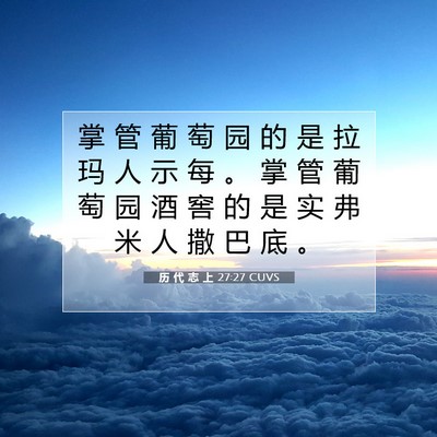 Picture 07 - 历 代 志 上 27:27 CUVS - 掌 管 葡 萄 园 的 是 拉 玛 人 示 每 - Bible Verse Picture