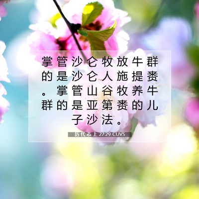 Picture 07 - 历 代 志 上 27:29 CUVS - 掌 管 沙 仑 牧 放 牛 群 的 是 沙 仑 - Bible Verse Picture