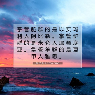 Picture 07 - 历 代 志 上 27:30 CUVS - 掌 管 驼 群 的 是 以 实 玛 利 人 阿 - Bible Verse Picture