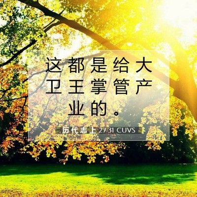 Picture 07 - 历 代 志 上 27:31 CUVS - 这 都 是 给 大 卫 王 掌 管 产 业 的 - Bible Verse Picture