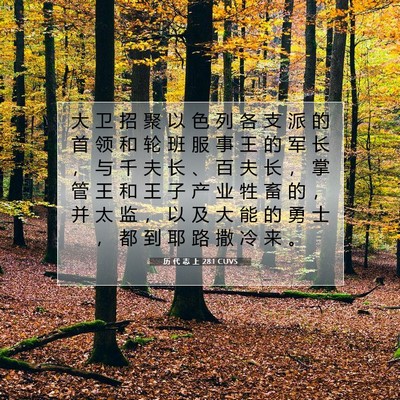 Picture 07 - 历 代 志 上 28:1 CUVS - 大 卫 招 聚 以 色 列 各 支 派 的 首 - Bible Verse Picture