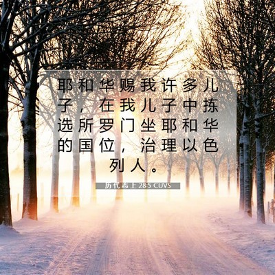 Picture 07 - 历 代 志 上 28:5 CUVS - 耶 和 华 赐 我 许 多 儿 子 ， 在 我 - Bible Verse Picture
