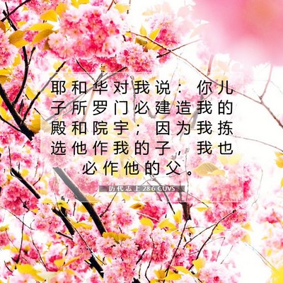 Picture 07 - 历 代 志 上 28:6 CUVS - 耶 和 华 对 我 说 ： 你 儿 子 所 罗 - Bible Verse Picture