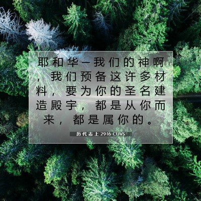 Picture 07 - 历 代 志 上 29:16 CUVS - 耶 和 华 ─ 我 们 的 神 啊 ， 我 们 - Bible Verse Picture