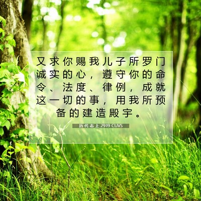 Picture 07 - 历 代 志 上 29:19 CUVS - 又 求 你 赐 我 儿 子 所 罗 门 诚 实 - Bible Verse Picture
