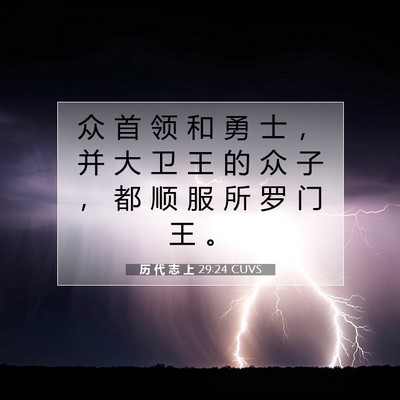 Picture 07 - 历 代 志 上 29:24 CUVS - 众 首 领 和 勇 士 ， 并 大 卫 王 的 - Bible Verse Picture