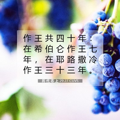 Picture 07 - 历 代 志 上 29:27 CUVS - 作 王 共 四 十 年 ： 在 希 伯 仑 作 - Bible Verse Picture