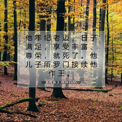 Picture 07 - 历 代 志 上 29:28 CUVS - 他 年 纪 老 迈 ， 日 子 满 足 ， 享 - Bible Verse Picture
