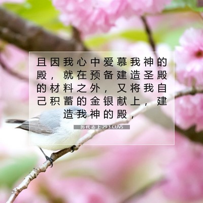 Picture 07 - 历 代 志 上 29:3 CUVS - 且 因 我 心 中 爱 慕 我 神 的 殿 ， - Bible Verse Picture
