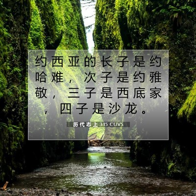 Picture 07 - 历 代 志 上 3:15 CUVS - 约 西 亚 的 长 子 是 约 哈 难 ， 次 - Bible Verse Picture