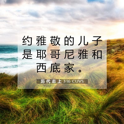 Picture 07 - 历 代 志 上 3:16 CUVS - 约 雅 敬 的 儿 子 是 耶 哥 尼 雅 和 - Bible Verse Picture