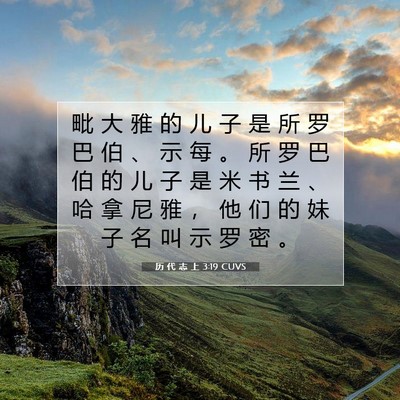 Picture 07 - 历 代 志 上 3:19 CUVS - 毗 大 雅 的 儿 子 是 所 罗 巴 伯 、 - Bible Verse Picture