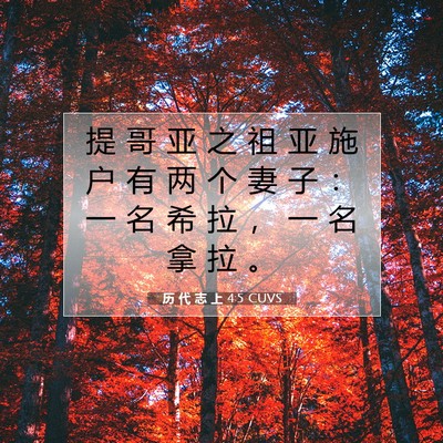 Picture 07 - 历 代 志 上 4:5 CUVS - 提 哥 亚 之 祖 亚 施 户 有 两 个 妻 - Bible Verse Picture