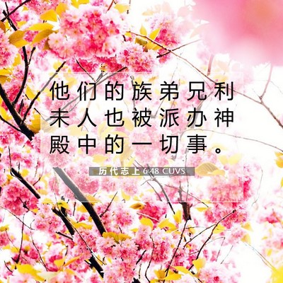 Picture 07 - 历 代 志 上 6:48 CUVS - 他 们 的 族 弟 兄 利 未 人 也 被 派 - Bible Verse Picture