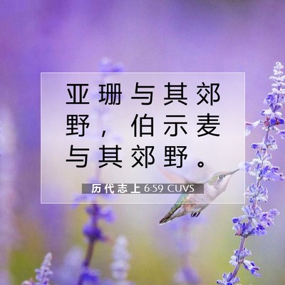 Picture 07 - 历 代 志 上 6:59 CUVS - 亚 珊 与 其 郊 野 ， 伯 示 麦 与 其 - Bible Verse Picture