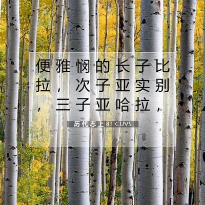Picture 07 - 历 代 志 上 8:1 CUVS - 便 雅 悯 的 长 子 比 拉 ， 次 子 亚 - Bible Verse Picture