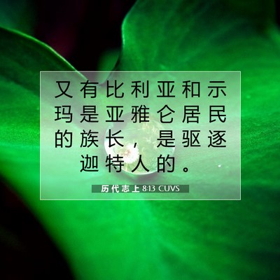 Picture 07 - 历 代 志 上 8:13 CUVS - 又 有 比 利 亚 和 示 玛 是 亚 雅 仑 - Bible Verse Picture
