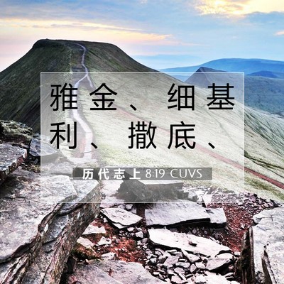 Picture 07 - 历 代 志 上 8:19 CUVS - 雅 金 、 细 基 利 、 撒 底 - Bible Verse Picture