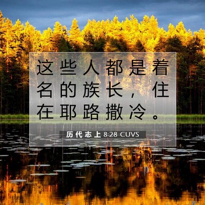 Picture 07 - 历 代 志 上 8:28 CUVS - 这 些 人 都 是 着 名 的 族 长 ， 住 - Bible Verse Picture