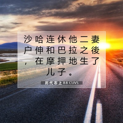 Picture 07 - 历 代 志 上 8:8 CUVS - 沙 哈 连 休 他 二 妻 户 伸 和 巴 拉 - Bible Verse Picture