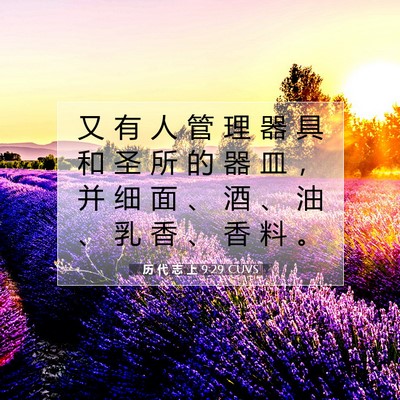 Picture 07 - 历 代 志 上 9:29 CUVS - 又 有 人 管 理 器 具 和 圣 所 的 器 - Bible Verse Picture