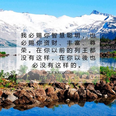 Picture 07 - 历 代 志 下 1:12 CUVS - 我 必 赐 你 智 慧 聪 明 ， 也 必 赐 - Bible Verse Picture