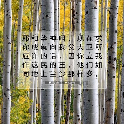 Picture 07 - 历 代 志 下 1:9 CUVS - 耶 和 华 神 啊 ， 现 在 求 你 成 就 - Bible Verse Picture