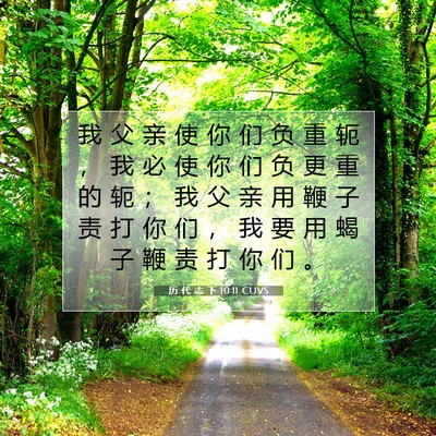 Picture 07 - 历 代 志 下 10:11 CUVS - 我 父 亲 使 你 们 负 重 轭 ， 我 必 - Bible Verse Picture