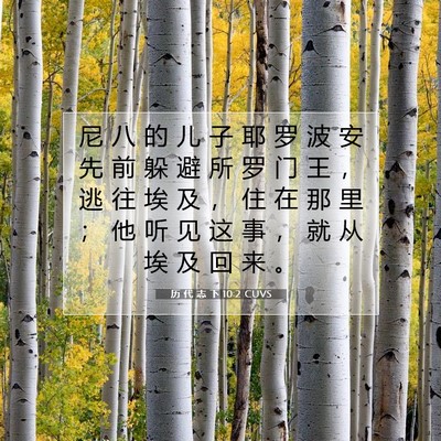 Picture 07 - 历 代 志 下 10:2 CUVS - 尼 八 的 儿 子 耶 罗 波 安 先 前 躲 - Bible Verse Picture