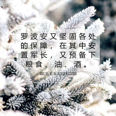 Picture 07 - 历 代 志 下 11:11 CUVS - 罗 波 安 又 坚 固 各 处 的 保 障 ， - Bible Verse Picture