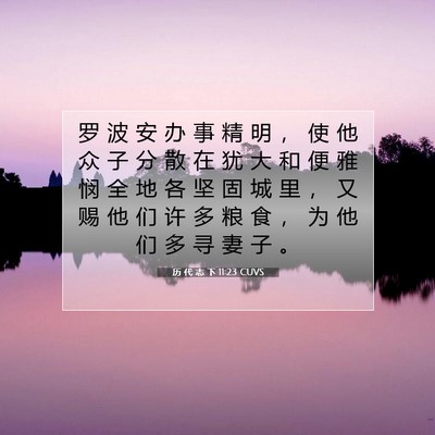 Picture 07 - 历 代 志 下 11:23 CUVS - 罗 波 安 办 事 精 明 ， 使 他 众 子 - Bible Verse Picture