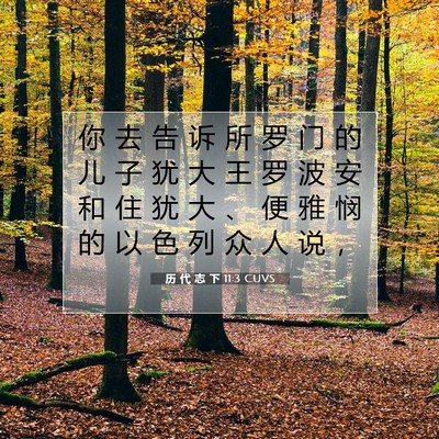 Picture 07 - 历 代 志 下 11:3 CUVS - 你 去 告 诉 所 罗 门 的 儿 子 犹 大 - Bible Verse Picture