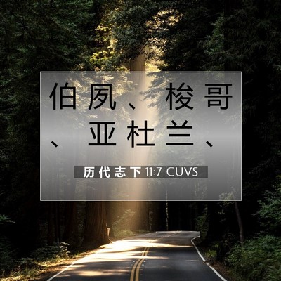 Picture 07 - 历 代 志 下 11:7 CUVS - 伯 夙 、 梭 哥 、 亚 杜 兰 - Bible Verse Picture