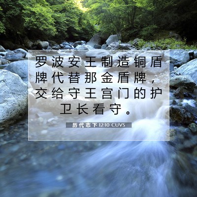Picture 07 - 历 代 志 下 12:10 CUVS - 罗 波 安 王 制 造 铜 盾 牌 代 替 那 - Bible Verse Picture