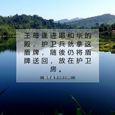 Picture 07 - 历 代 志 下 12:11 CUVS - 王 每 逢 进 耶 和 华 的 殿 ， 护 卫 - Bible Verse Picture
